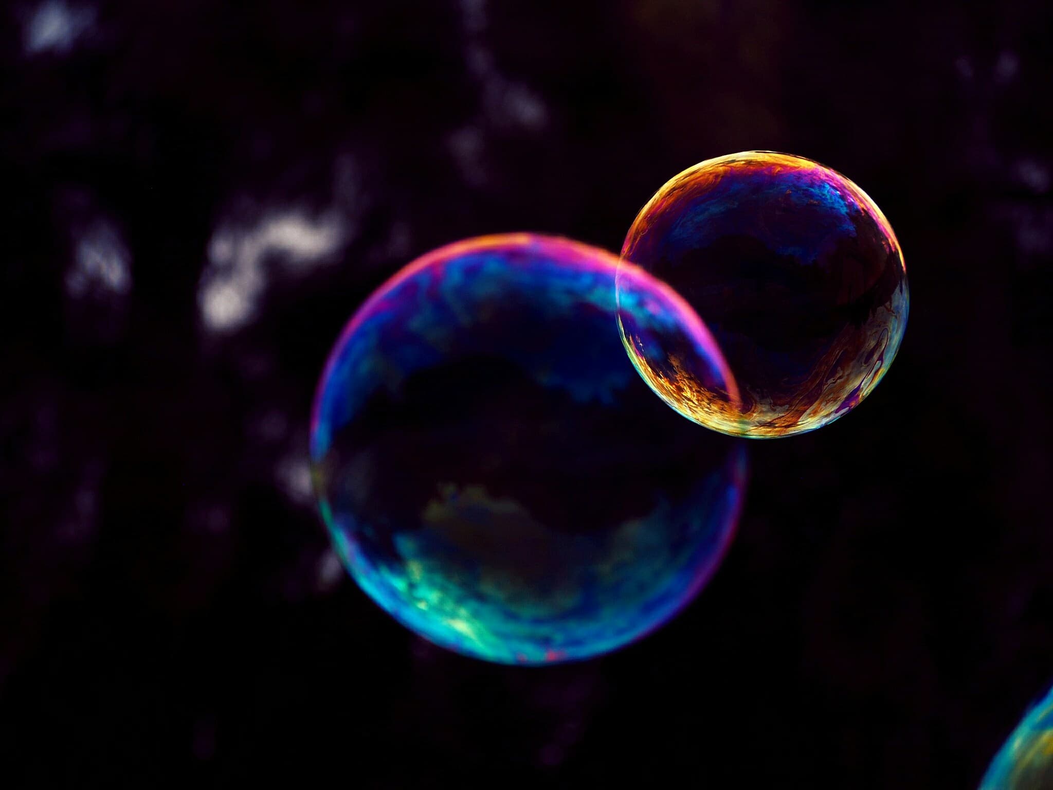 Cover Image for What would you say you do here?